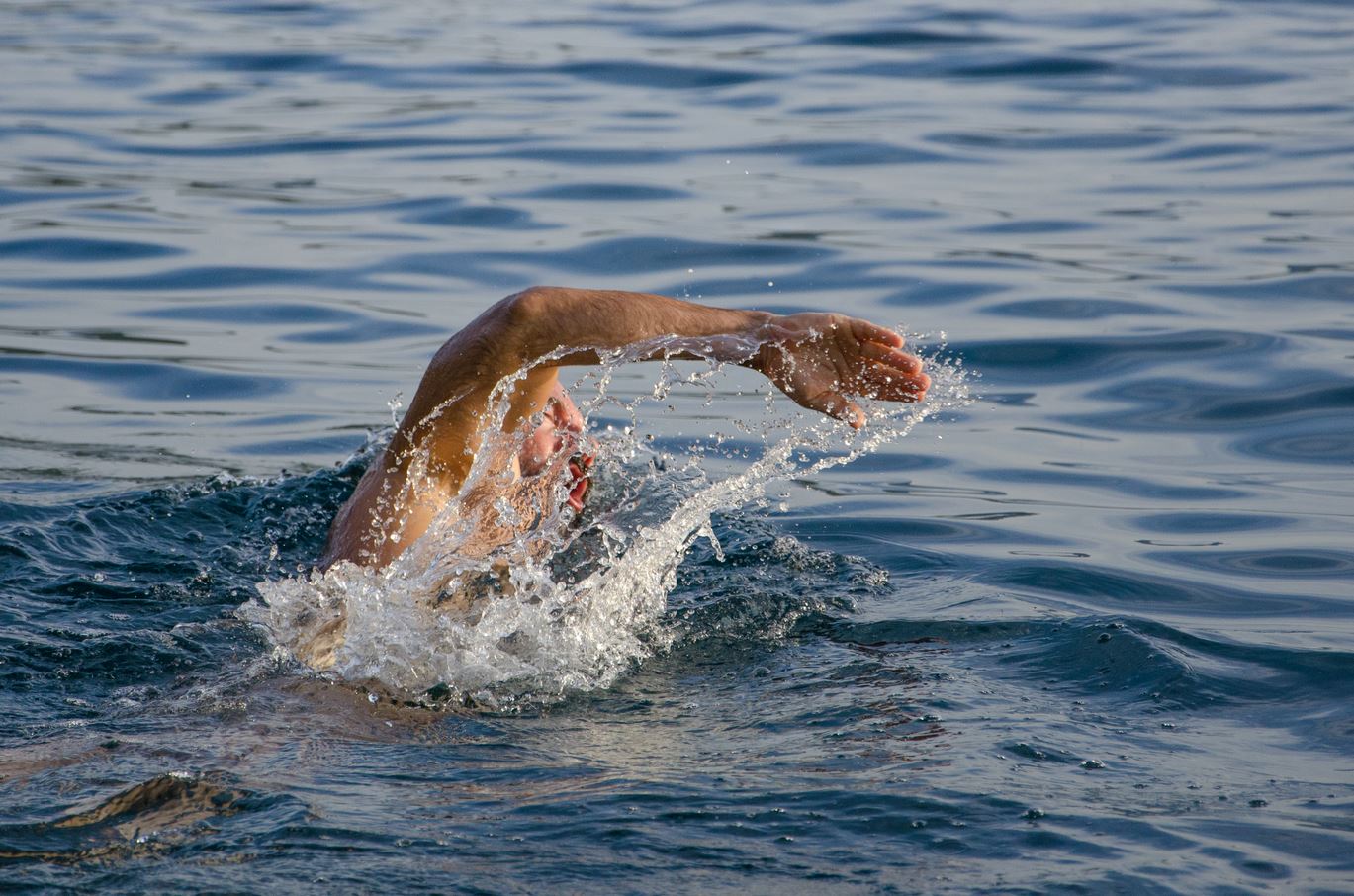 Thousands Take Part in the Great East Swim at Alton Water