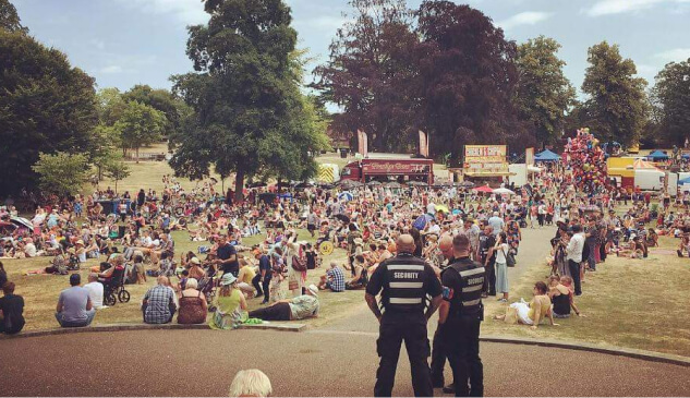 Festival Security